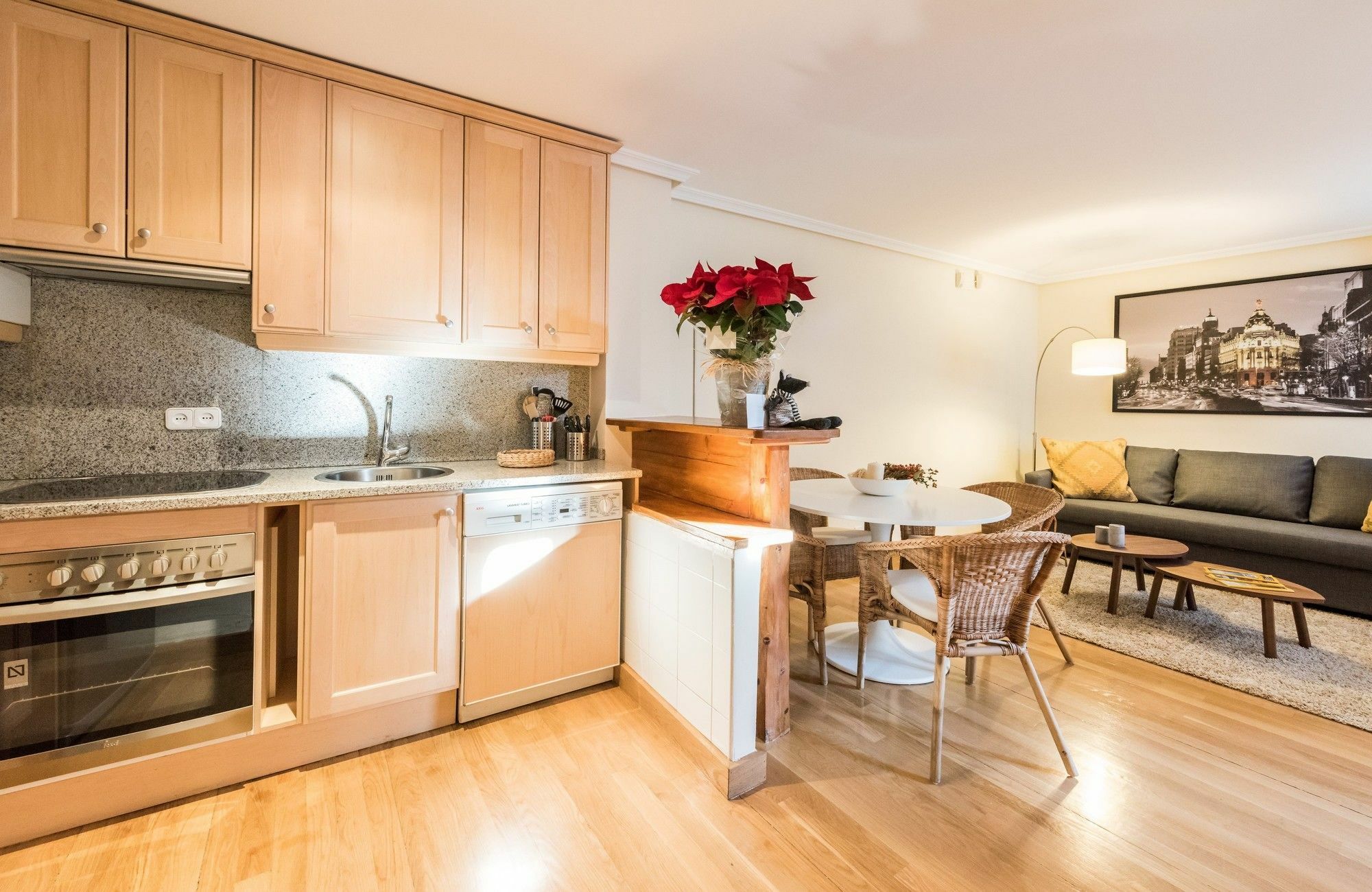 Appartement Recoletos Center *